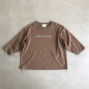 sw13805501